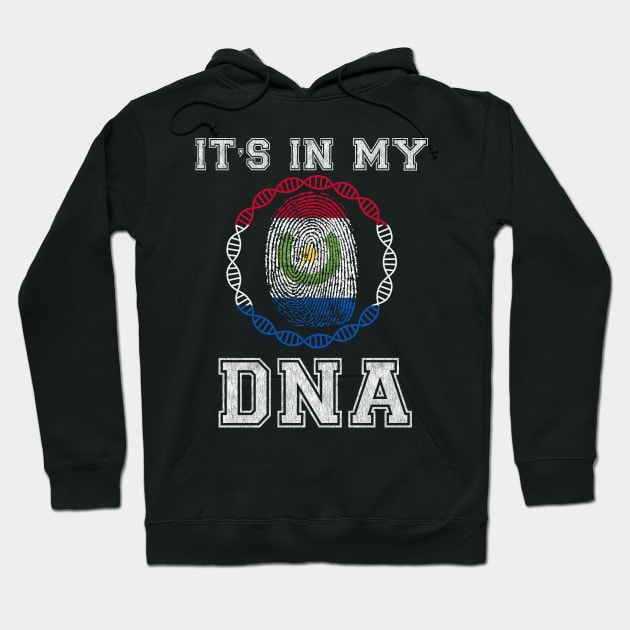 Paraguay  It's In My DNA - Gift for Paraguayan From Paraguay Hoodie by Country Flags